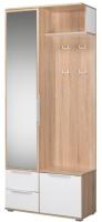Шкаф комбинированный