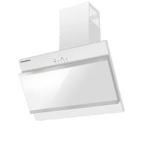 Вытяжка наклонная Tower g Satin 50 stripes (496х287хh600(860)) (Материал Металл/Стекло , Цвет Черный/Черный) в Новороссийске от производителя 