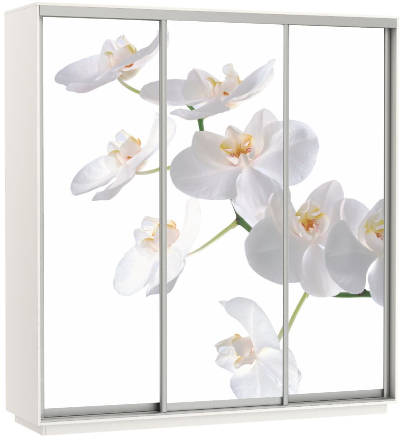 Фото Шкаф-купе Экспресс Трио Фото (2,4х0,6х2,4 - 3 двери) от производителя Мебельная компания Е1 в Новороссийске по цене 63&nbsp;870 ₽