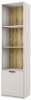 Фото Шкаф открытый 1D/52 Модерн (Modern) от производителя Анрэкс в Новороссийске по цене 13&nbsp;390 ₽